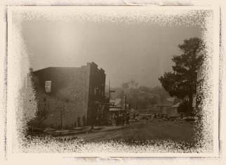 Picture of the devastation at Omeo after Black Friday bushfires