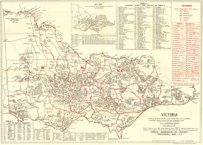 fcvmapjune1928.jpg