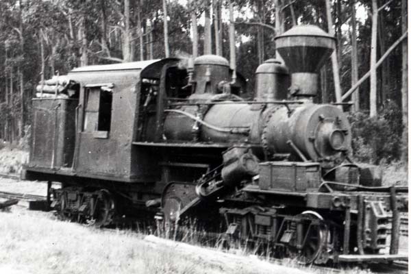 Photograph probably taken in 1948, at Collins Siding near Erica (Source: FCRPA) : FCV-owned Climax Locomotive - Builders Number 1694. l to r - H Whitehead, Unknown